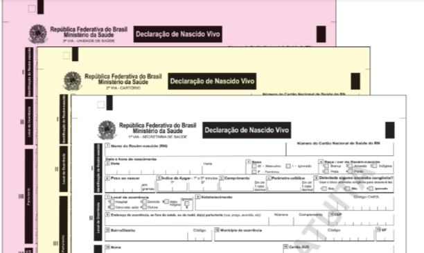 FireShot Capture 4241 - STF ordena inclusão do termo “parturiente“ em declaração de nascimen_ - www.cnnbrasil.com.br.jpg