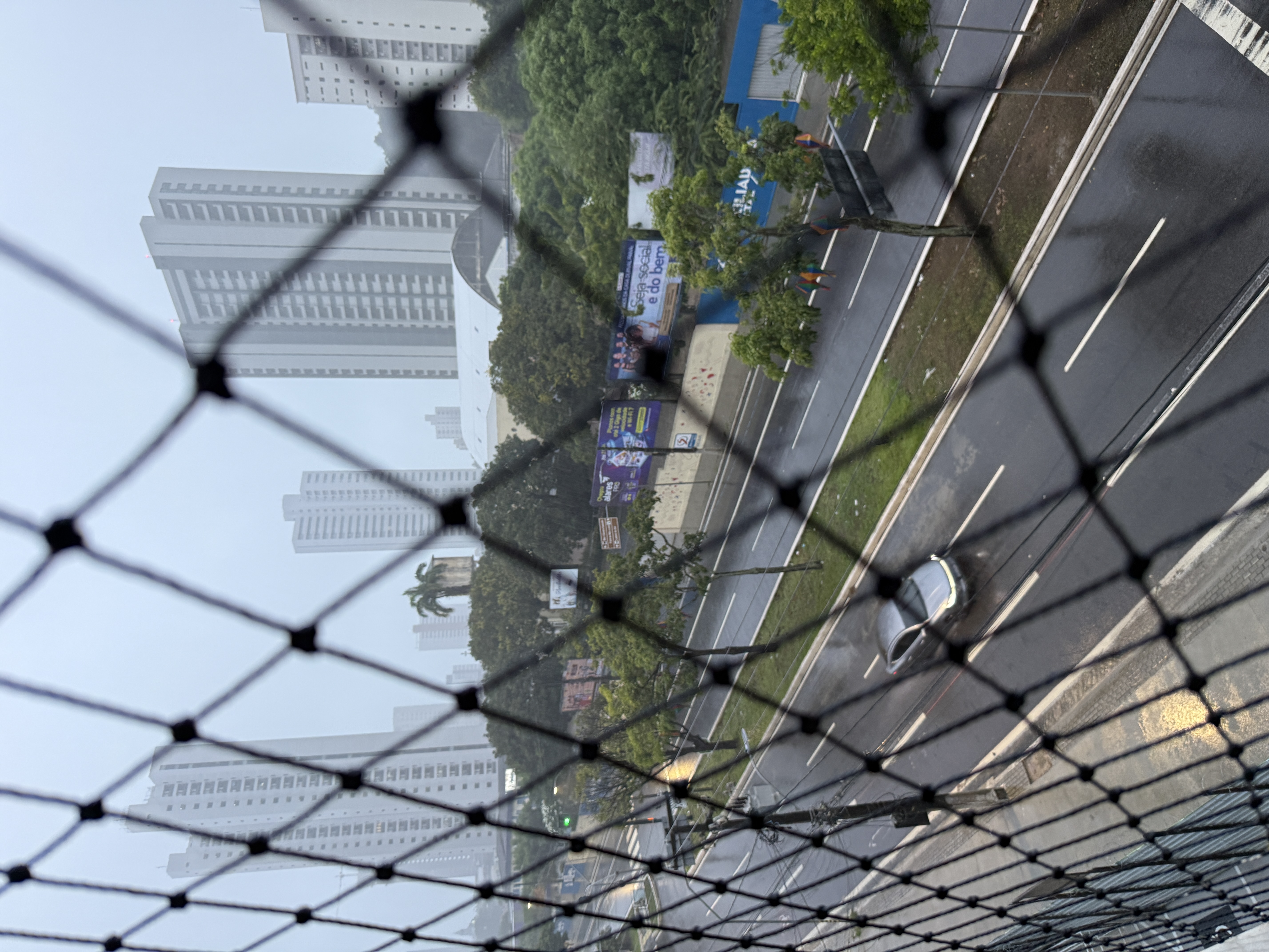 IMG_5946.jpeg