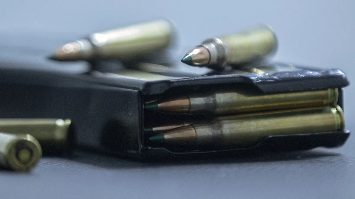 arma pistola Pesquisa Datafolha: preocupação de brasileiro com segurança supera economia