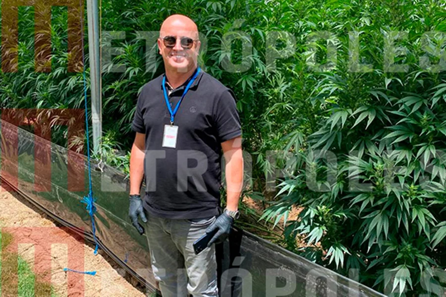 careca-do-inss-em-frente-a-plantacao-de-maconha.webp