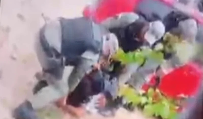 Ela precisou ser contida pela guarnição| Foto: Reprodução
