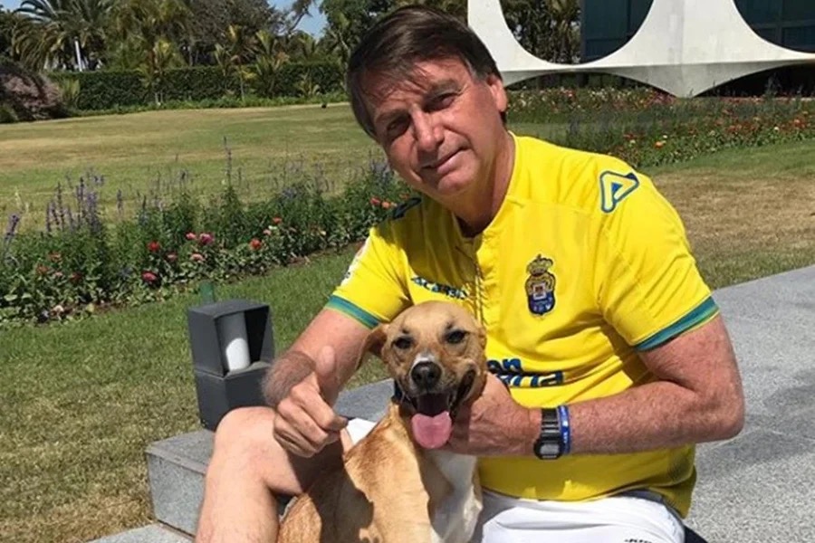 Jair Bolsonaro e cachorro caramelo | Instagram/Reprodução