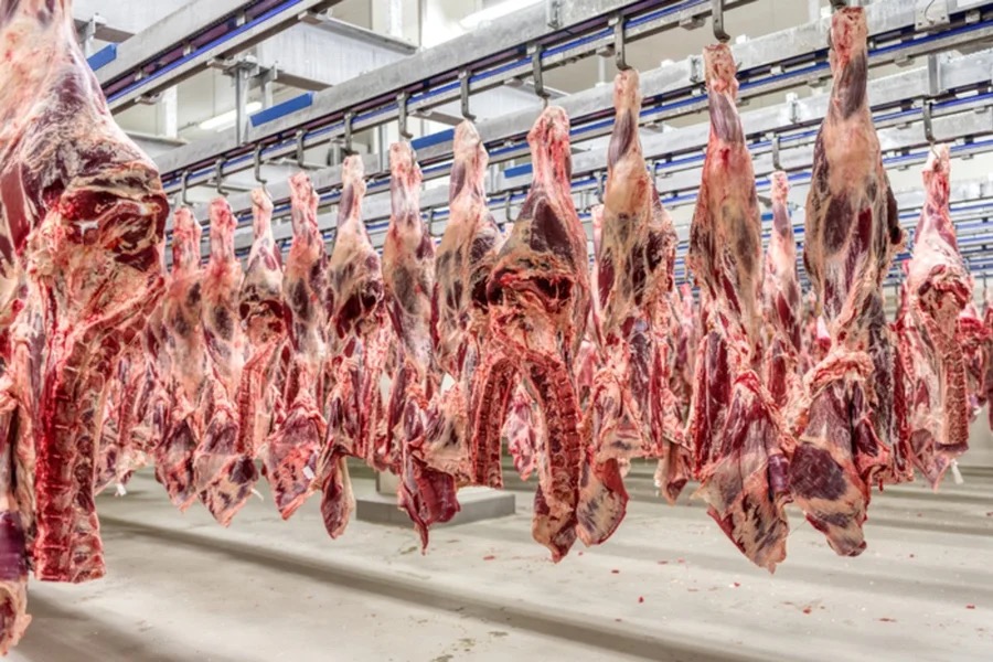 carnes | Divulgação/ Ministério da Agricultura e Pecuária