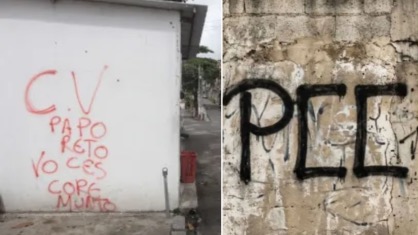 PCC E CV | REPRODUÇÃO