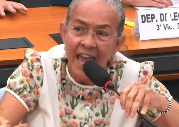 heloisa helena.png