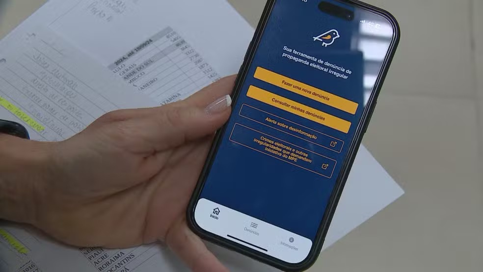 Ferramenta Pardal é o sistema da Justiça Eleitoral para denúncias de propaganda eleitoral irregular — Foto: Reprodução