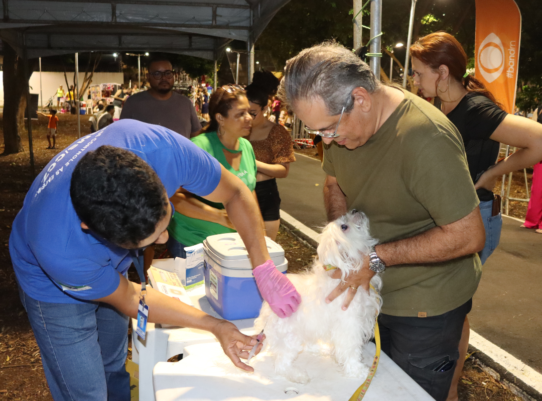 vacinação animais