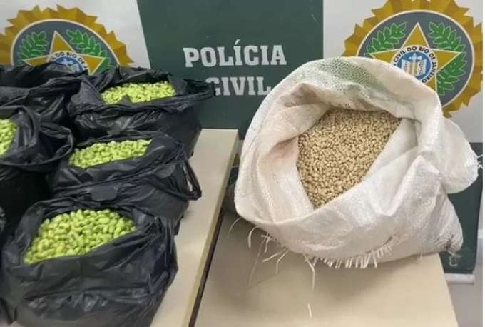Preso suspeito de pintar feijão para vender produto mais caro